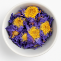 Blue Lotus